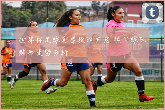 世界杯足球彩票投注开启 热门球队赔率走势分析