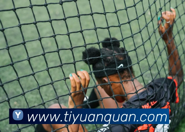 世界杯app平台服务体系